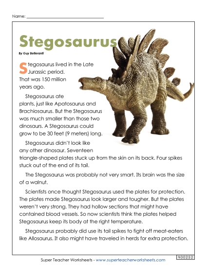 Reading Comprehension - Stegosaurus (Printable PDF Worksheet)