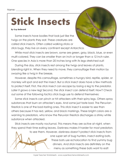 Nonfiction - Stick Insects  (Printable PDF Worksheet)