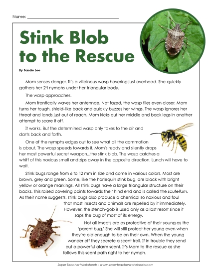 Nonfiction Articles - Stink Bugs (Article) (Printable PDF Worksheet)