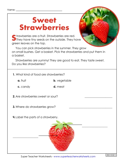 Short Passages - Sweet Strawberries (Short Article) (Printable PDF Worksheet)