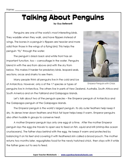 Reading Comprehension - Talking About Penguins (Printable PDF Worksheet)