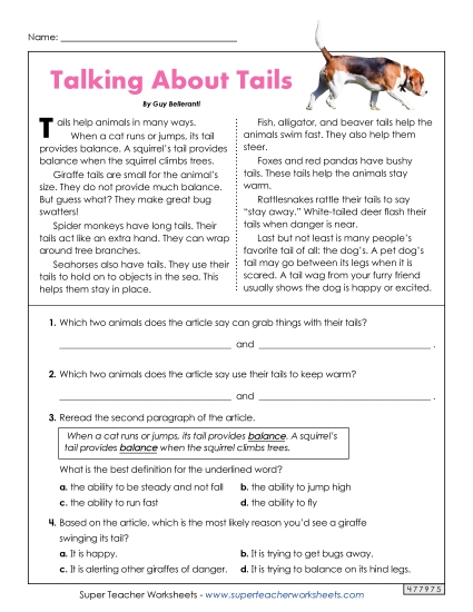 Animal Topics - Talking About Tails (Printable PDF Worksheet)