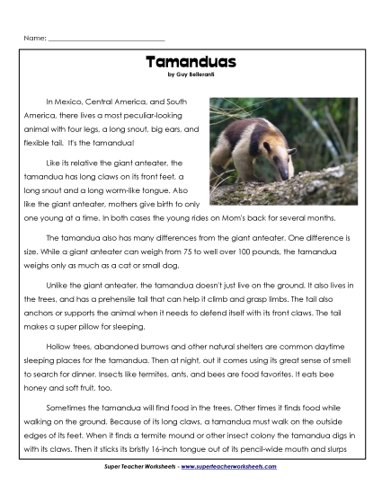 Mammals - Tamanduas (Printable PDF Worksheet)