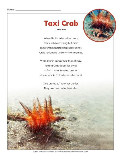 Insects, Spiders, and Bugs - Taxi Crab (Printable PDF Worksheet)