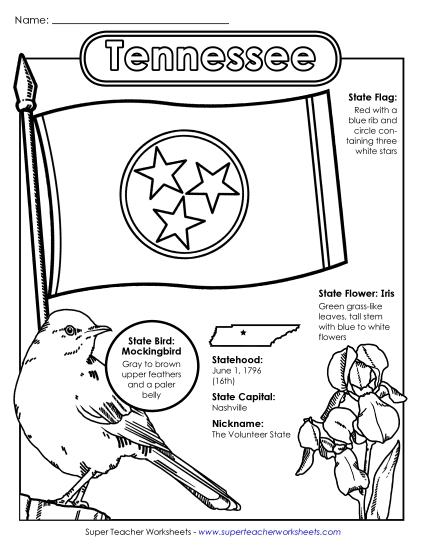 Symbols - Tennessee State Symbols Coloring Page (Printable PDF Worksheet)