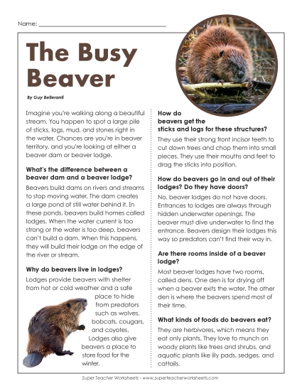 Reading Comprehension - The Busy Beaver (Printable PDF Worksheet)
