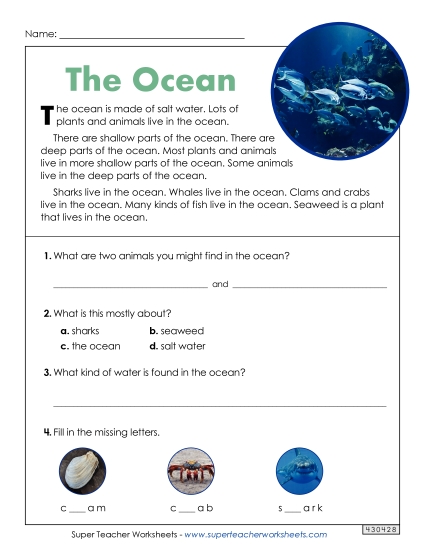 Reading Comprehension - The Ocean (Short Article) (Printable PDF Worksheet)