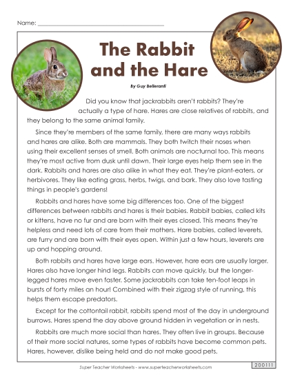 Nonfiction Articles - The Rabbit and the Hare (Printable PDF Worksheet)