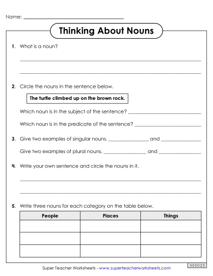 Mixed Noun Skills - Thinking About Nouns (Printable PDF Worksheet)