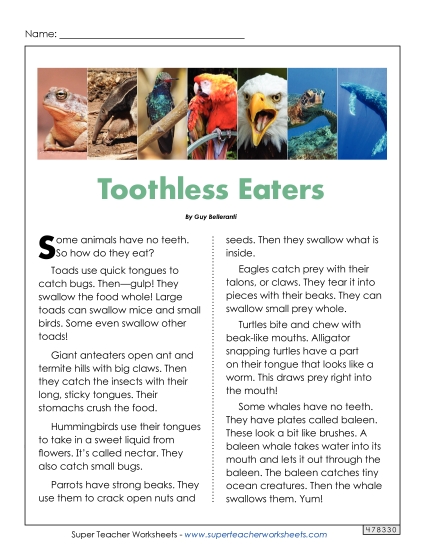 Animal Topics - Toothless Eaters (Printable PDF Worksheet)