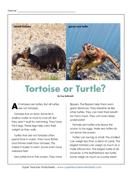 Reptiles - Tortoise or Turtle? (Printable PDF Worksheet)