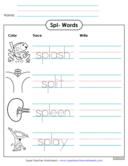 Worksheets - Trace and Write (Spl- Words) (Printable PDF Worksheet)