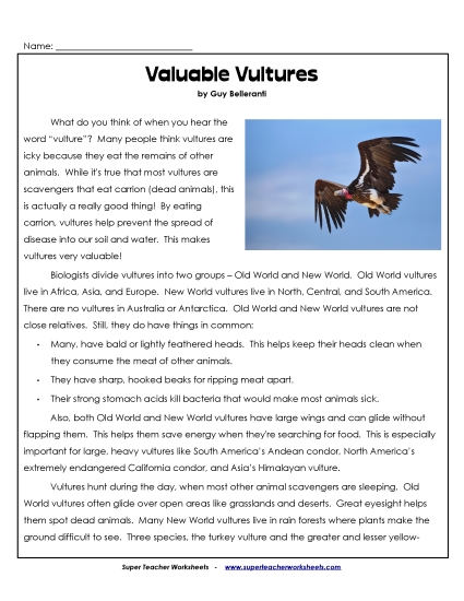 Birds - Valuable Vultures  (Printable PDF Worksheet)