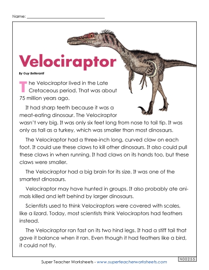 Reading Comprehension - Velociraptor (Printable PDF Worksheet)