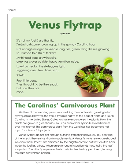 4th Grade Poems - Venus Fly Trap (Printable PDF Worksheet)