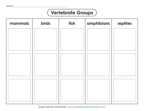 Vertebrate Classification - Vertebrate: Cut, Sort, & Glue (Printable PDF Worksheet)