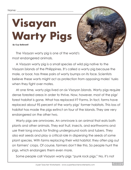Mammals - Visayan Warty Pigs (Printable PDF Worksheet)