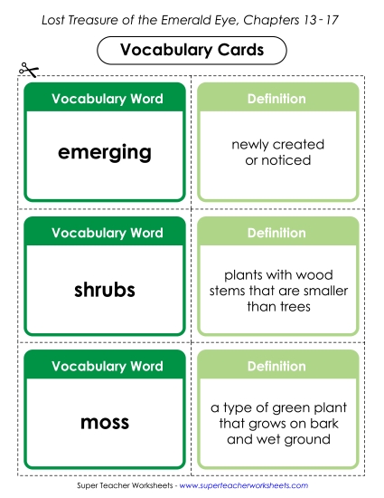 Chapters 13-17 - Vocab. Cards for Chapters 13-17 (Printable PDF Worksheet)