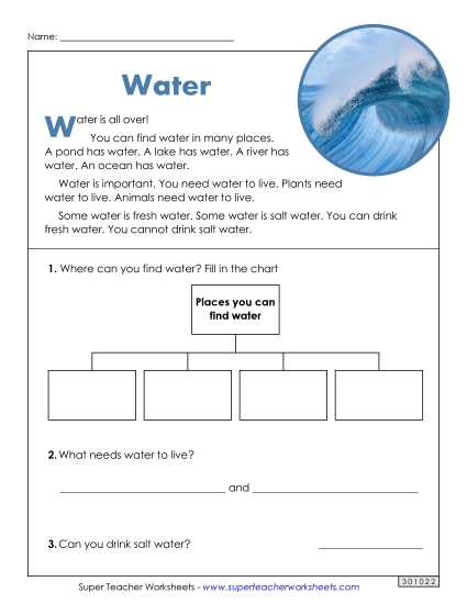 Short Passages - Water (Short Article) (Printable PDF Worksheet)