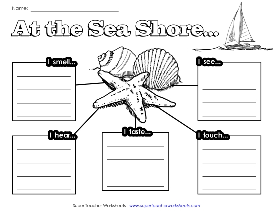 Graphic Organizers - Web: Sensory Seashore (Printable PDF Worksheet)