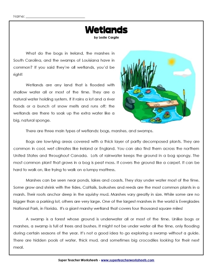 Nonfiction Articles - Wetlands (Article) (Printable PDF Worksheet)