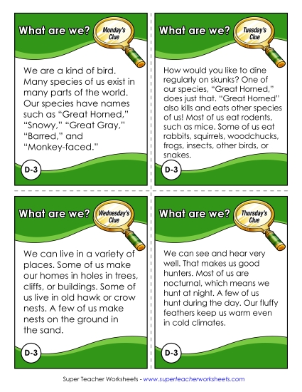 Challenge Puzzle - What Are We? Challenge (Owl) (Printable PDF Worksheet)