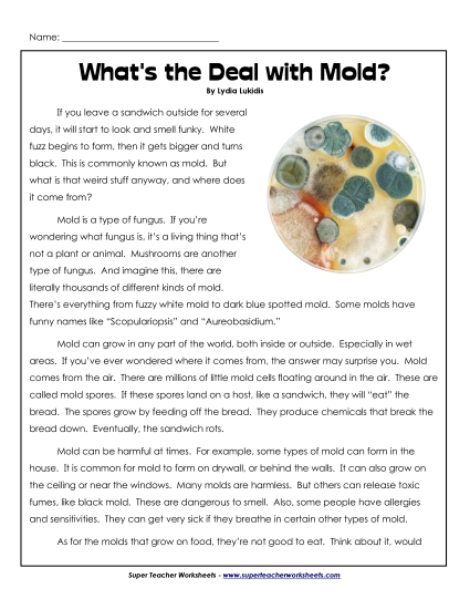 Nonfiction Articles - What's the Deal with Mold?  (Printable PDF Worksheet)