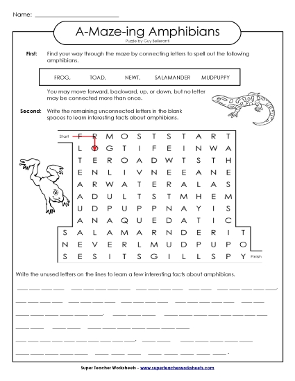 Word-Maze Puzzles - Word Maze: Frogs & Toads (Amphibians) (Printable PDF Worksheet)