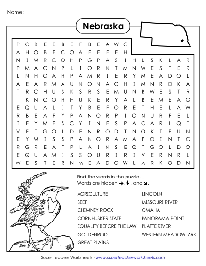 Puzzles - Word Search (Printable PDF Worksheet)