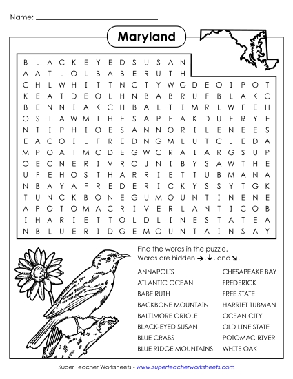 Puzzles - Word Search Puzzle (Printable PDF Worksheet)