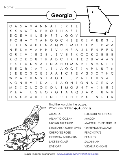 Puzzles - Word Search Puzzle (Printable PDF Worksheet)