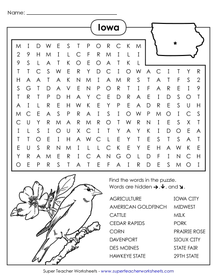 Puzzles - Word Search Puzzle (Printable PDF Worksheet)