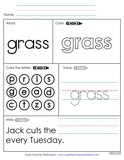 Worksheet 1: Grass (Printable PDF Worksheet)