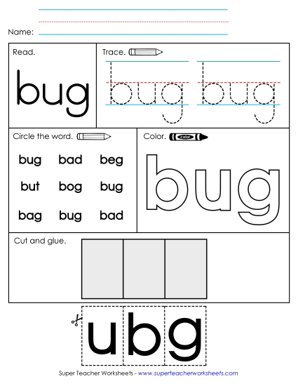 Worksheet 2: Bug (Printable PDF Worksheet)