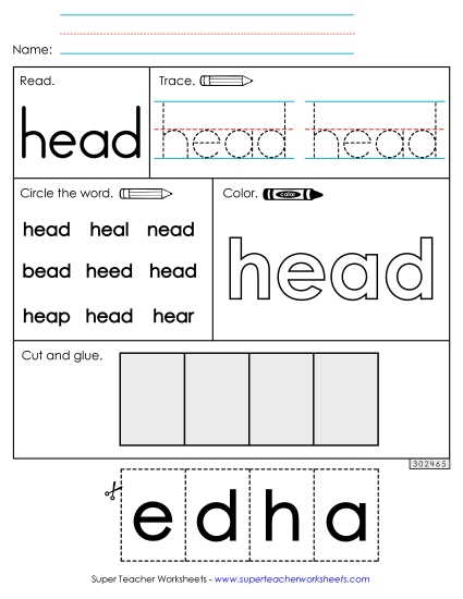 Worksheet 2: Head (Printable PDF Worksheet)