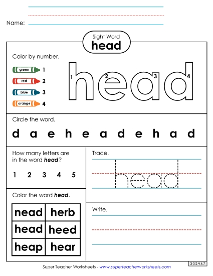 Worksheet 4: Head (Printable PDF Worksheet)