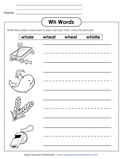 Worksheets - Write WH Words (Printable PDF Worksheet)