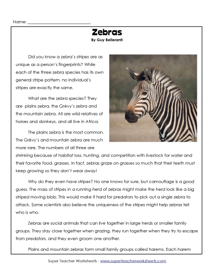 Mammals - Zebras (Printable PDF Worksheet)