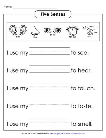 Senses: Fill in the Words