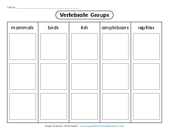 Vertebrates: Cut, Sort, & Glue Free 3rd Grade Science Worksheet