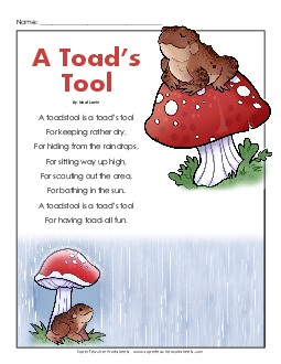 A Toad\'s Tool 
