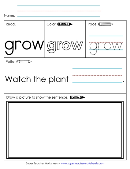 Worksheet 3: Grow