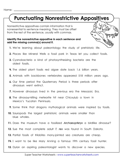 Nonrestrictive Appositives