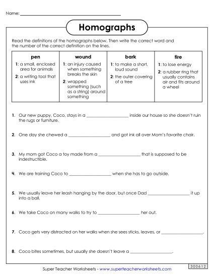 Homographs: Fill in the Blanks 3