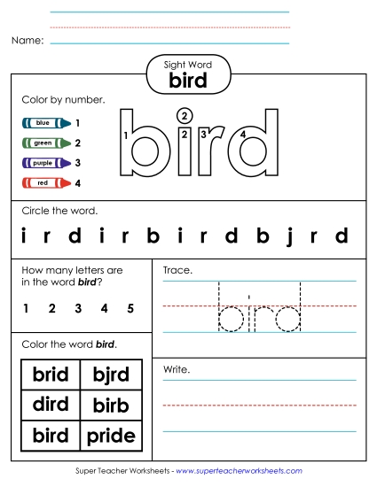 Worksheet 4: Bird