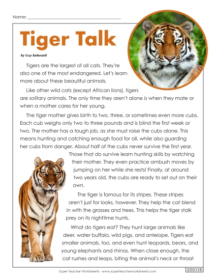 Tiger Talk