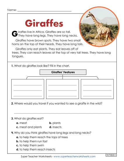 Giraffes (Short Article)