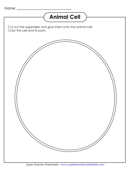 Cut-and-Glue Animal Cell