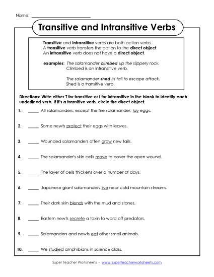 Transitive and Intransitive Verbs