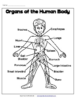 Fourth Grade Printable Worksheets Learning Tool Fourth Grade Printable Worksheets Learning Tool